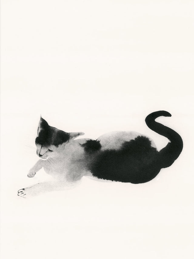 Cat © Aurore de la Morinerie