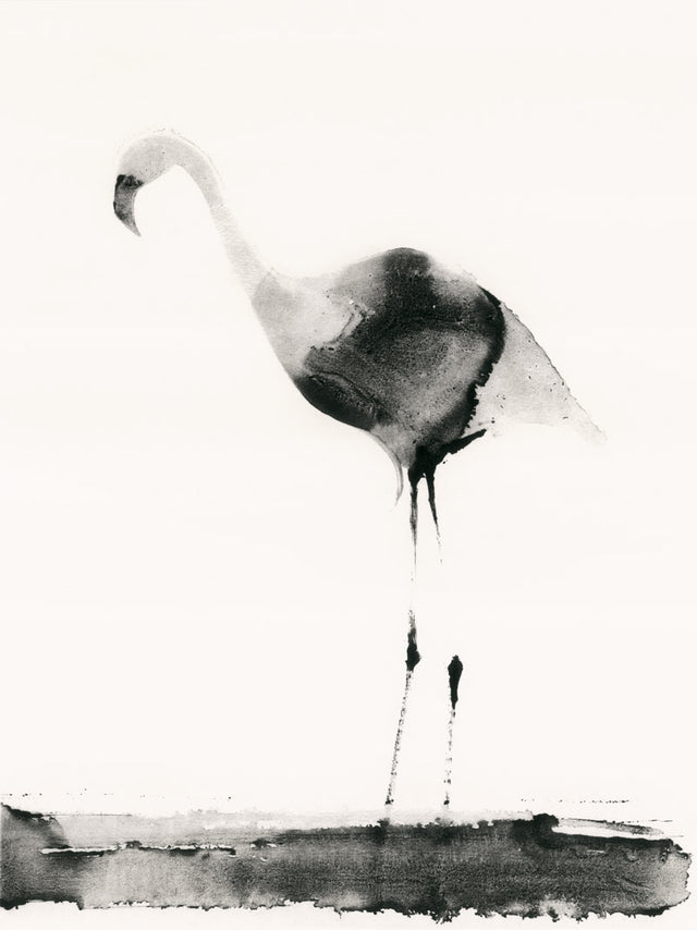 Flamingo © Aurore de la Morinerie