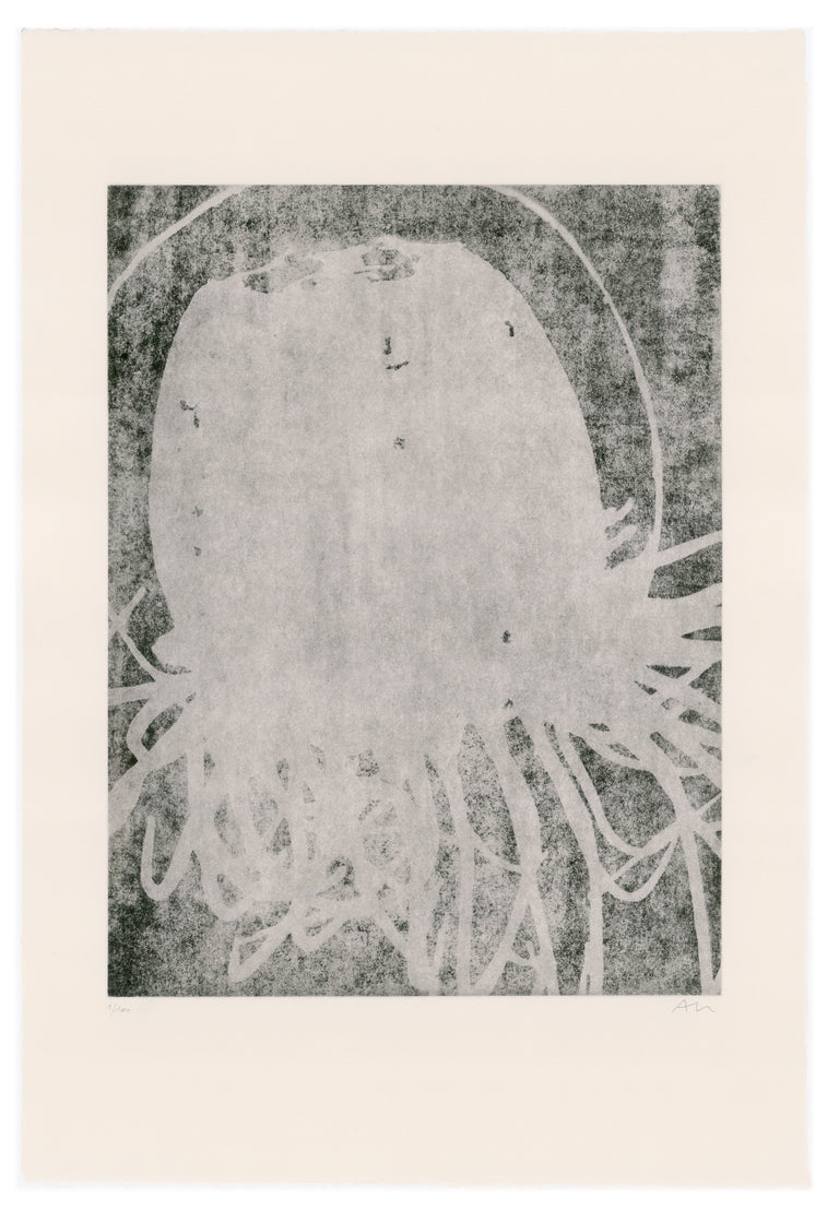 Jellyfish © Aurore de la Morinerie